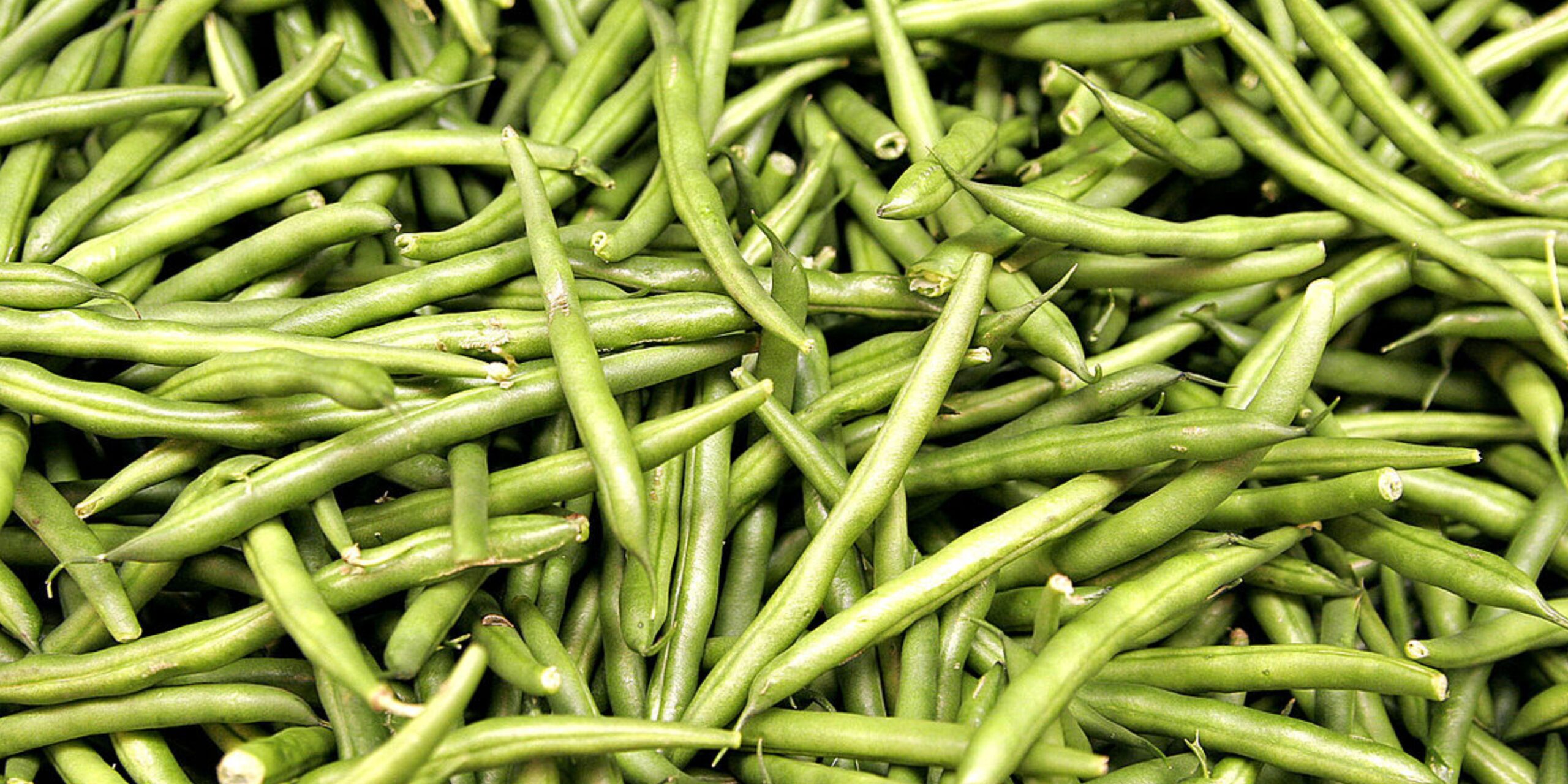 Can Rabbits Eat Green Beans? Peteatguide